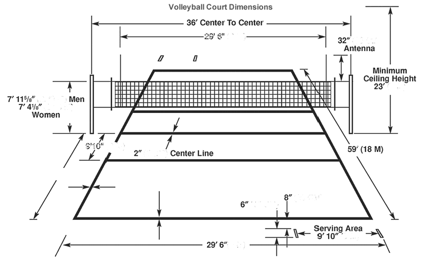 The court dimensions - Volei mania